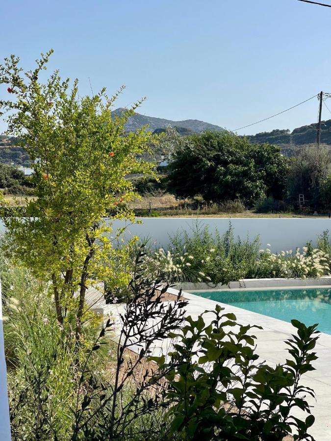 Casa Di Amerissa Premium Accommodation Skyros Exterior photo